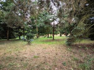 Prodej rodinného domu, Petrov, Hlavní, 119 m2
