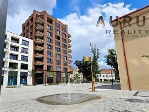 Pronájem bytu 4+kk, Praha - Nusle, Bělehradská, 130 m2