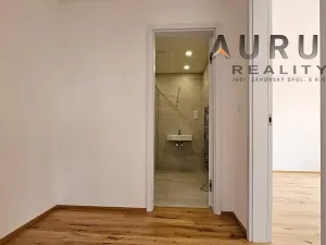 Pronájem bytu 4+kk, Praha - Nusle, Bělehradská, 130 m2