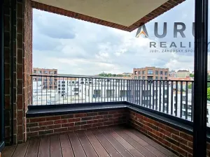 Pronájem bytu 4+kk, Praha - Nusle, Bělehradská, 130 m2