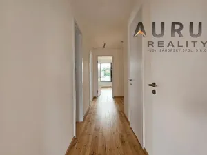 Pronájem bytu 4+kk, Praha - Nusle, Bělehradská, 130 m2