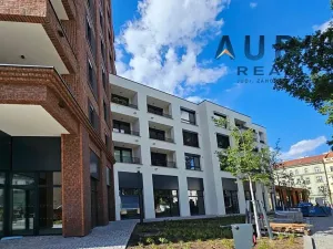 Pronájem bytu 4+kk, Praha - Nusle, Bělehradská, 130 m2