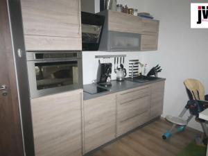 Pronájem bytu 1+kk, Plzeň, U Borských kasáren, 42 m2