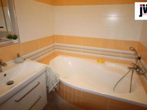 Pronájem bytu 1+kk, Plzeň, U Borských kasáren, 42 m2