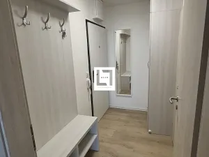 Pronájem bytu 1+kk, Olomouc, Aloise Rašína, 38 m2