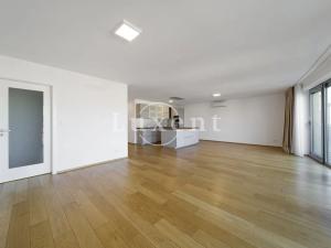 Pronájem bytu 4+kk, Plzeň, Šafaříkovy sady, 195 m2