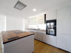 Pronájem bytu 4+kk, Plzeň, Šafaříkovy sady, 195 m2