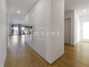 Pronájem bytu 4+kk, Plzeň, Šafaříkovy sady, 195 m2