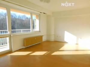 Pronájem bytu 1+kk, Desná, Krkonošská, 30 m2