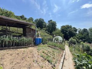 Prodej rodinného domu, Babice nad Svitavou, 100 m2