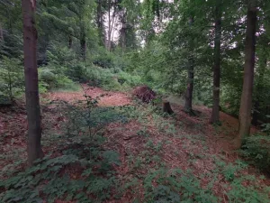 Dražba pozemku, Mníšek, 374 m2