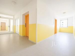 Pronájem bytu 1+kk, Ústí nad Labem, Rozcestí, 26 m2