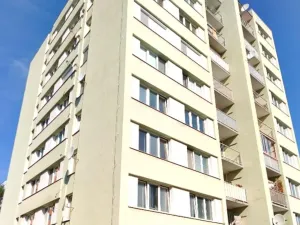 Prodej bytu 1+kk, Strakonice, Stavbařů, 30 m2
