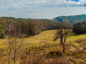 Prodej louky, Dubá - Heřmánky, 11289 m2
