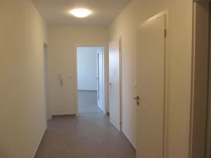 Pronájem obchodního prostoru, Praha - Žižkov, Olgy Havlové, 71 m2