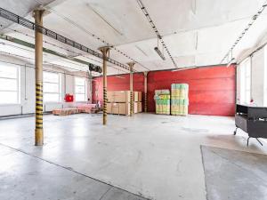 Pronájem skladu, Sudkov, 250 m2