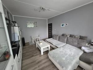 Prodej bytu 3+1, Cheb, Lesní, 60 m2