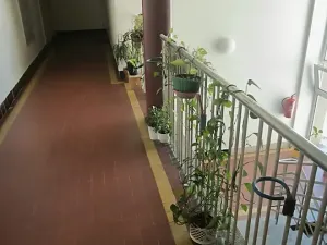 Prodej bytu 1+kk, Ostrava, Ruská, 36 m2