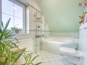 Pronájem obchodního prostoru, Plzeň - Černice, Sněženková, 43 m2