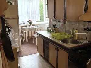 Prodej bytu 2+1, Ostrov, Kollárova, 60 m2
