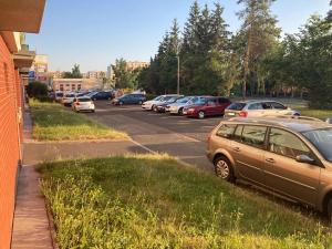 Prodej bytu 2+1, Ostrov, Kollárova, 60 m2