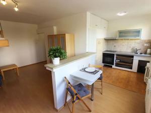 Prodej bytu 1+kk, Teplice, Alejní, 31 m2
