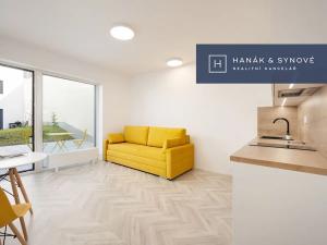 Pronájem bytu 1+kk, Brno, Cejl, 30 m2