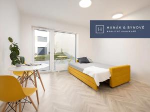 Pronájem bytu 1+kk, Brno, Cejl, 30 m2