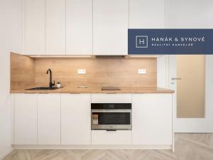 Pronájem bytu 1+kk, Brno, Cejl, 30 m2