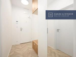Pronájem bytu 1+kk, Brno, Cejl, 30 m2