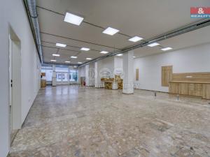 Pronájem obchodního prostoru, Plzeň - Bolevec, Sokolovská, 310 m2