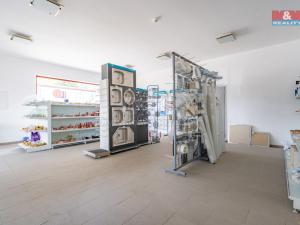 Prodej obchodního prostoru, České Budějovice, U Pily, 516 m2