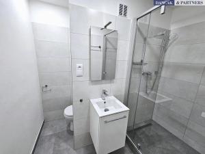Pronájem bytu 1+1, Ostrava, Na Výspě, 39 m2