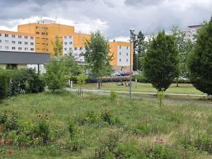 Prodej bytu 1+kk, Hradec Králové, Jana Masaryka, 35 m2