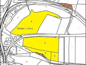 Prodej lesa, Martinice u Onšova, 241 m2
