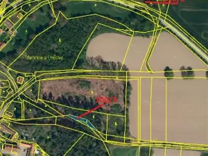 Prodej lesa, Martinice u Onšova, 241 m2