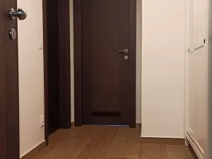 Pronájem bytu 2+kk, Olomouc, Třída Jiřího Pelikána, 58 m2