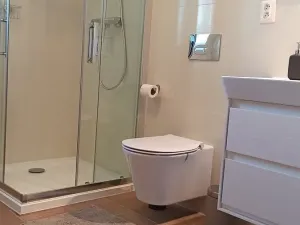 Pronájem bytu 2+kk, Olomouc, Třída Jiřího Pelikána, 58 m2