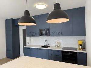 Pronájem bytu 1+kk, České Budějovice, Chelčického, 38 m2