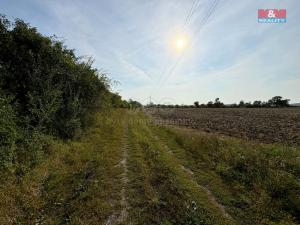 Prodej pole, Liběšice - Dolní Nezly, 25918 m2