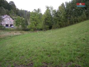 Prodej louky, Janův Důl, 2494 m2