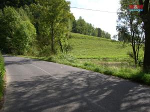 Prodej louky, Janův Důl, 2494 m2