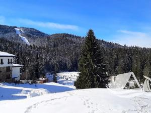 Prodej bytu 3+kk, Smoljan, Bulharsko, 115 m2