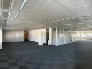 Pronájem kanceláře, Brno, Holandská, 421 m2