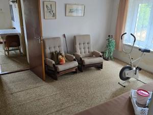 Prodej rodinného domu, Chotoviny, Kaštanová, 145 m2
