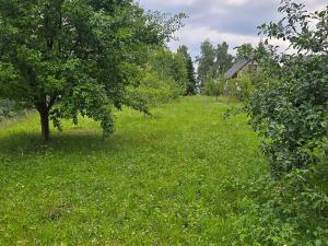 Prodej rodinného domu, Chotoviny, Kaštanová, 145 m2