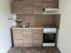 Pronájem bytu 3+kk, Frýdek-Místek, Jiřího Hakena, 56 m2