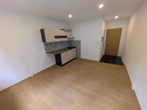 Pronájem bytu 1+kk, Kadaň, Na Podlesí, 21 m2
