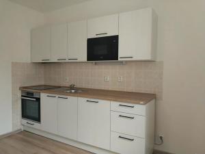 Pronájem bytu 1+kk, Plzeň, Moravská, 38 m2