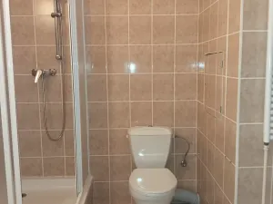 Pronájem bytu 1+kk, Plzeň, Moravská, 38 m2